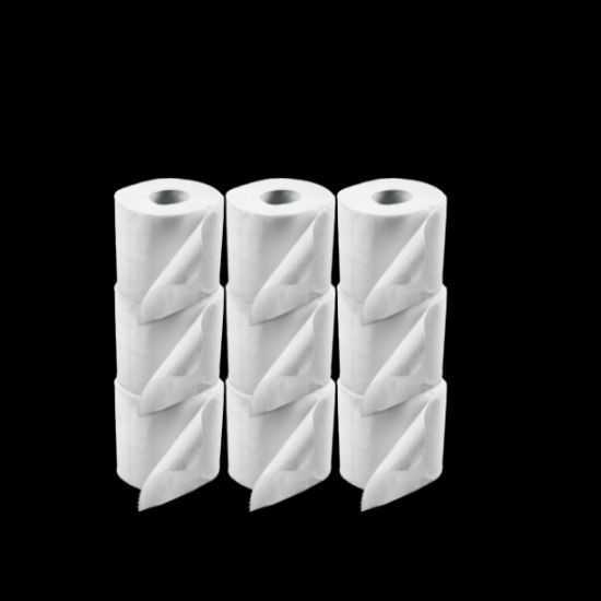 Picture of Toilet Paper 1Ply (9)